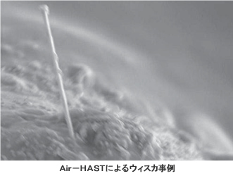 Air-HASTによるウィスカ事例