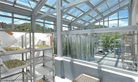 写真：自然光ガラス室型環境調節実験室内