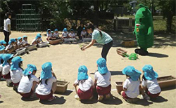 写真：みどりのカーテンセミナー（福知山市立成仁幼稚園）